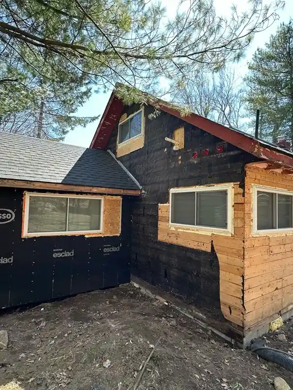 Professional Remodeling Services